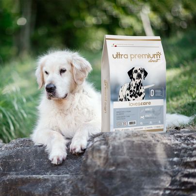 Croquettes pour Chien Senior +7ans de toutes tailles - Love & Care