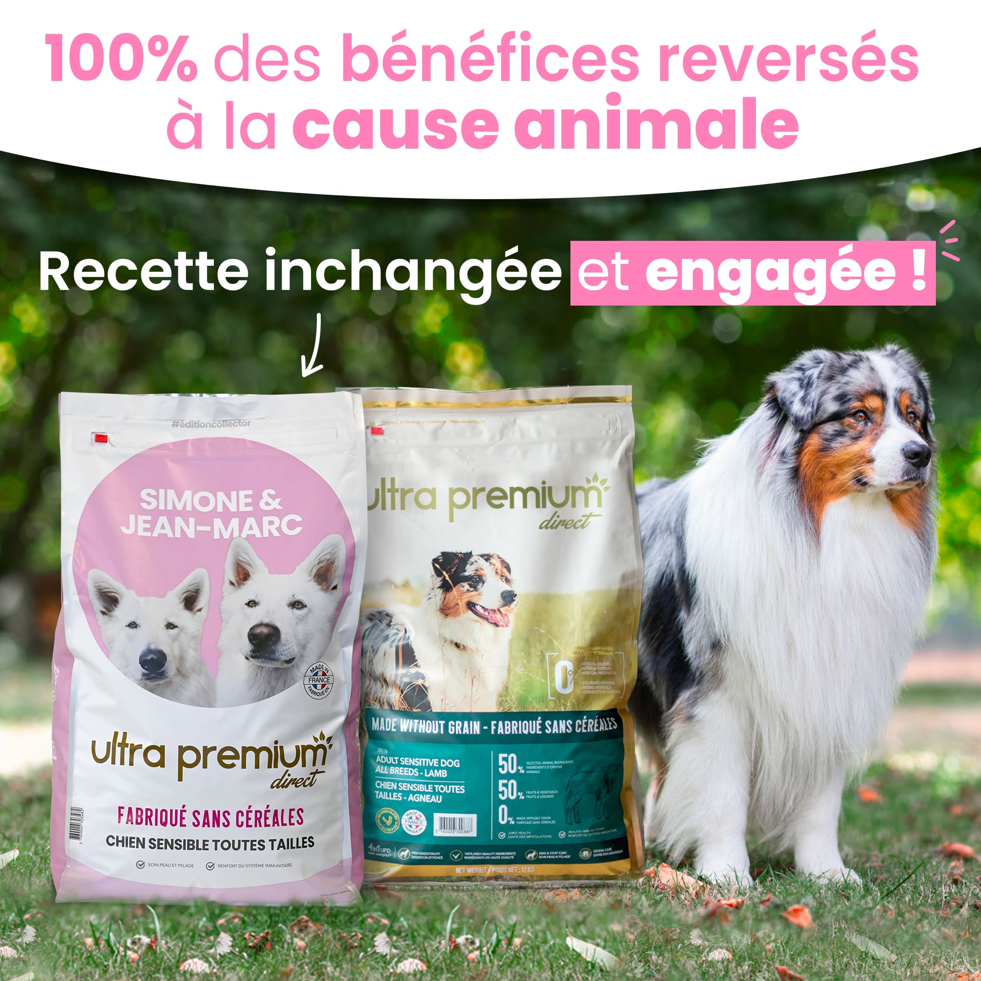 Berger australien en extérieur se tenant à côté de 2 sacs de croquettes sans céréales pour chien adulte digestion sensible