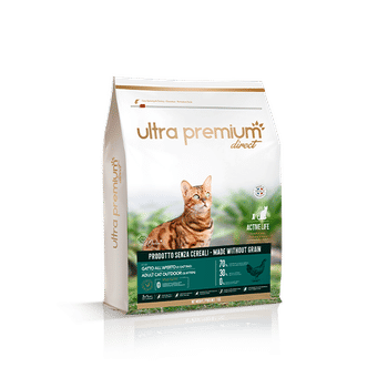 Nom De Chat Comment Bien Le Choisir Blog Ultra Premium Direct Nom De Chat Comment Bien Le Choisir Blog Ultra Premium Direct