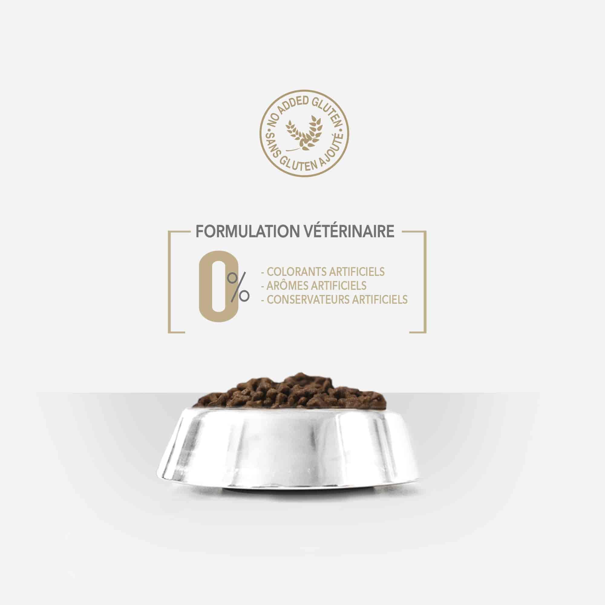 Gamelle contenant les croquettes pour chat délicat et anti-boules de poils en gros plan et formulation vétérinaire