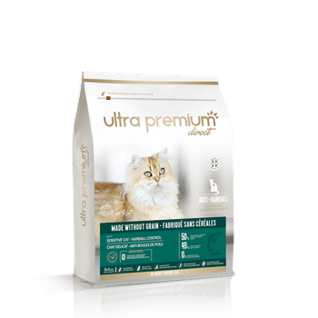 Mon Chat Vomit Que Faire Les Causes Et Solutions Blog Ultra Premium Direct Mon Chat Vomit Que Faire Les Causes Et Solutions Blog Ultra Premium Direct