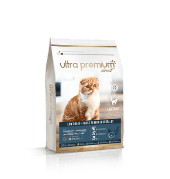Mieux Comprendre Le Langage Corporel De Mon Chat Blog Ultra Premium Direct Mieux Comprendre Le Langage Corporel De Mon Chat Blog Ultra Premium Direct