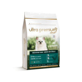 Nom De Chat 22 Comment Trouver Le Meilleur Nom Blog Ultra Premium Direct Nom De Chat 22 Comment Trouver Le Meilleur Nom Blog Ultra Premium Direct