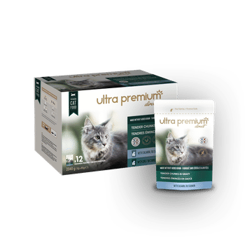 Comportement Chat Comprendre Le Comportement Du Chat Blog Ultra Premium Direct Comportement Chat Comprendre Le Comportement Du Chat Blog Ultra Premium Direct
