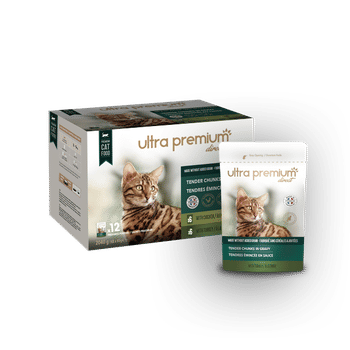 Comment Prendre Soin De Mon Chat Senior Blog Ultra Premium Direct Comment Prendre Soin De Mon Chat Senior Blog Ultra Premium Direct
