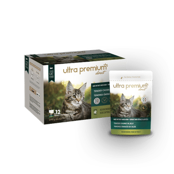 5 Astuces Efficaces Pour Reduire Les Odeurs De Sa Litiere Pour Chat Blog Ultra Premium Direct 5 Astuces Efficaces Pour Reduire Les Odeurs De Sa Litiere Pour Chat Blog Ultra Premium Direct