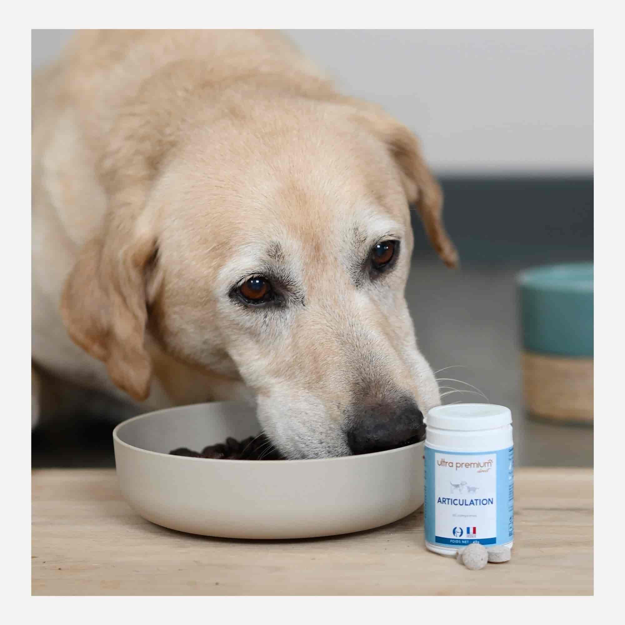 Aliment complémentaire pour Chien - Articulation