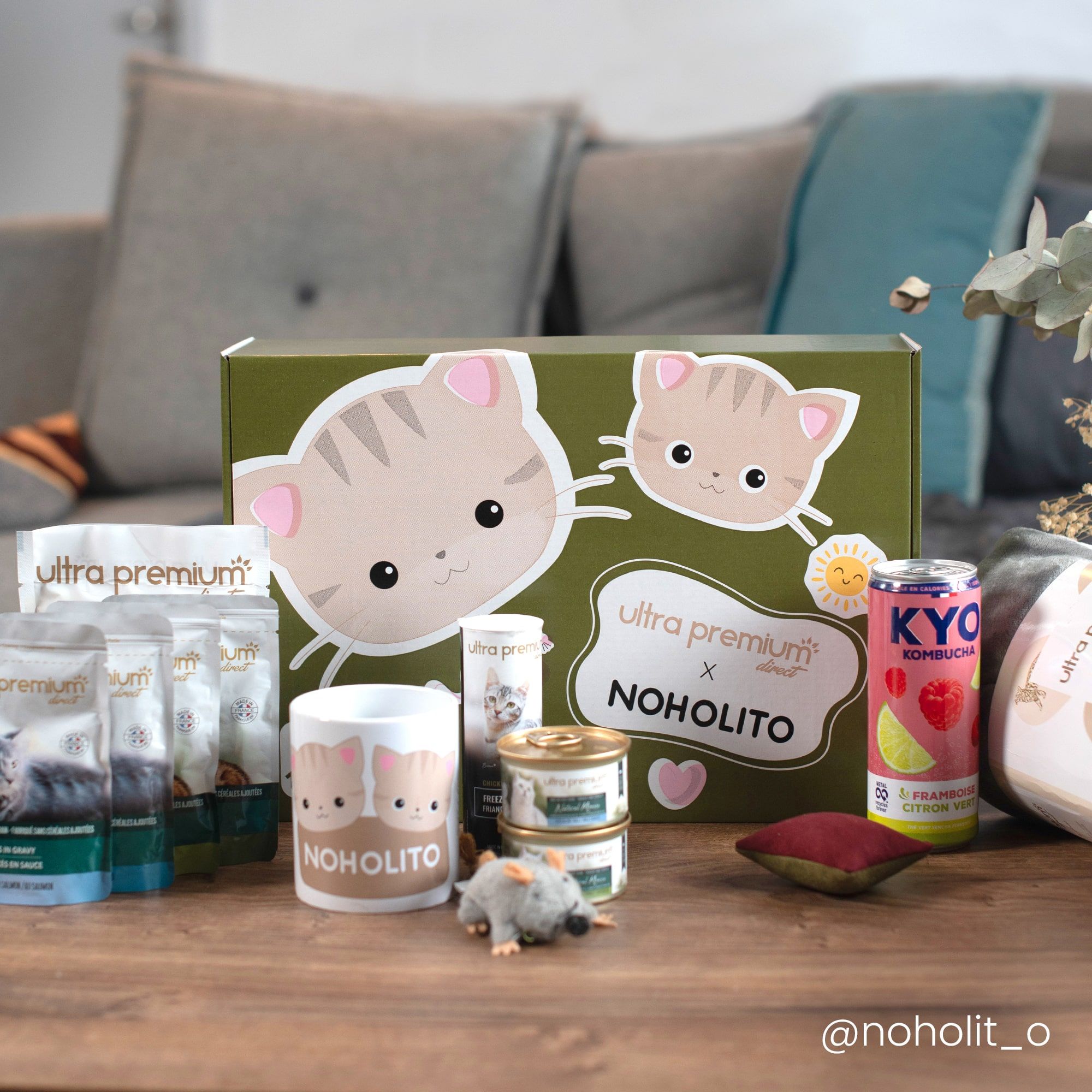 Box cadeau pour Chat