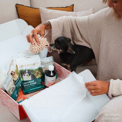 Box de Noël pour chien
