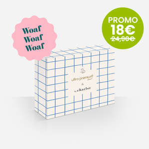 Box pour chien Ultra Premium Direct x By Charlot