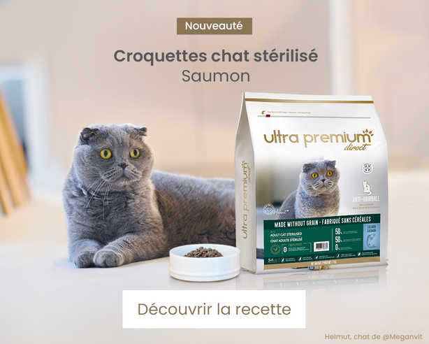 nouveauté croquettes anti-boules de poils chat