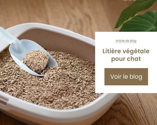 article de blog litière végétale