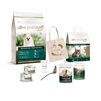 Nom De Chat Comment Bien Le Choisir Blog Ultra Premium Direct Nom De Chat Comment Bien Le Choisir Blog Ultra Premium Direct