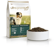 La transition alimentaire chez le chien - Blog Ultra Premium Direct