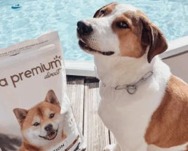 Avis abonnement client 2