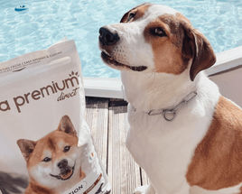 Avis abonnement client 2