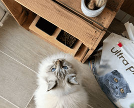 Avis abonnement client 3