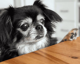 Avis abonnement client 1