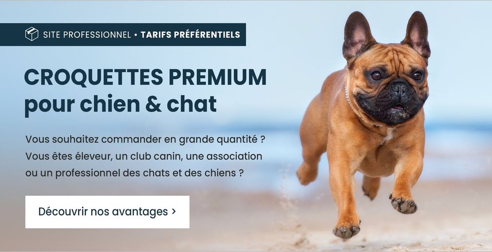 Bannière Ultra Premium Professionnel