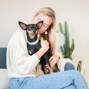 Pinscher nain sur les genoux de sa maîtresse