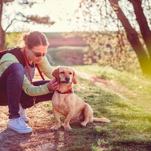 Maîtresse avec son chien en extérieur