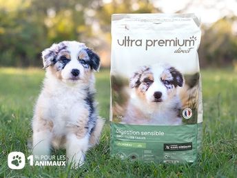 1% pour les animaux croquettes chiot