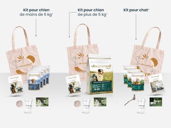 kits chiots et chatons