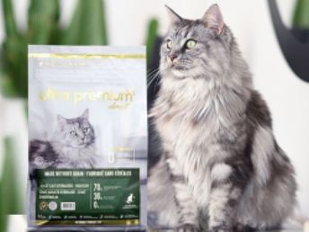 Chat à proximité des croquettes sans céréales pour chat d'Ultra Premium Direct