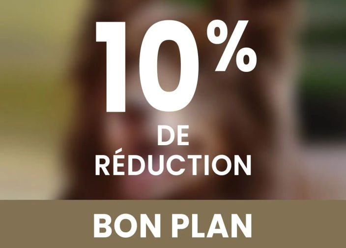 10% de réduction