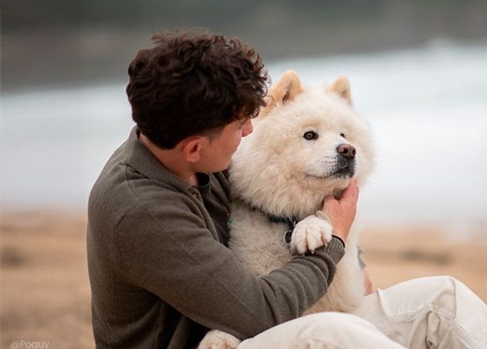 Homme brun avec chien blanc en extérieur