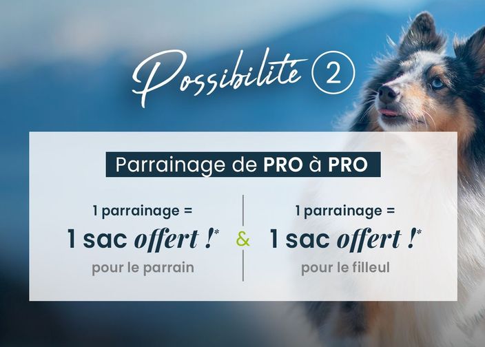 Parrainage de pro à pro