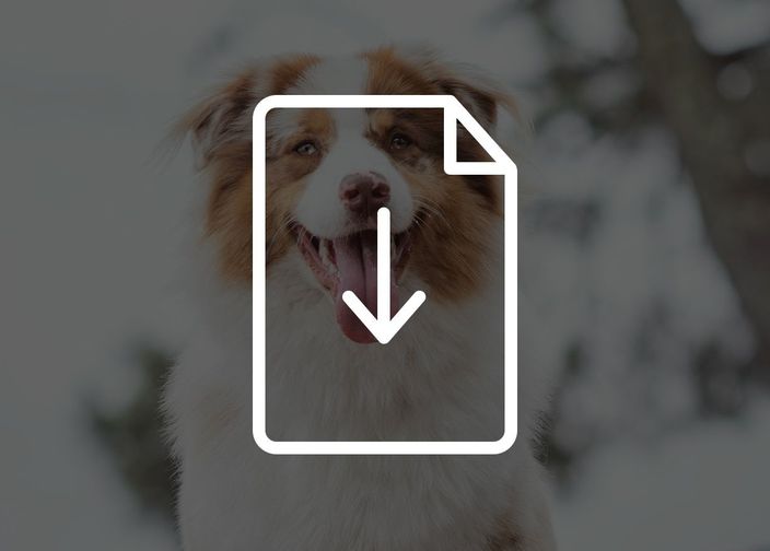 Tarifs des croquettes pour chiens - Sac de 12 kg