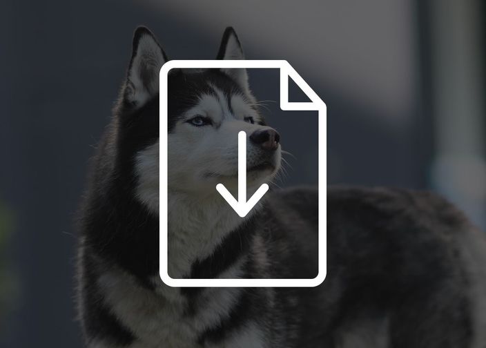 Tarifs des pâtées pour chiens