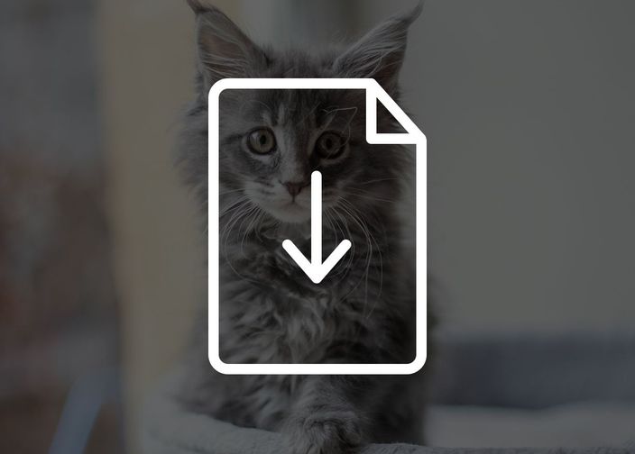 Tarifs des croquettes pour chat  - sac de 3, 7 et 10 kg