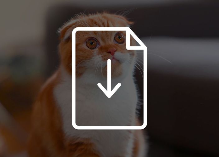 Tarifs des pâtées pour chats - Boîtes et sachets