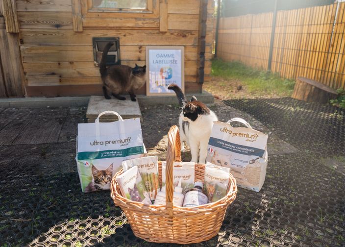 Chats autour d'un panier avec des produits Ultra Premium Direct dans un refuge.
