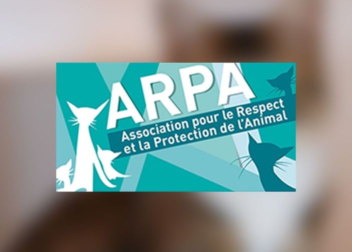 Logo ARPA 47