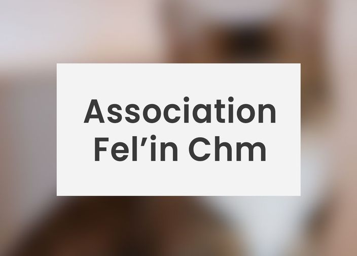 Association Fel’in Chm
