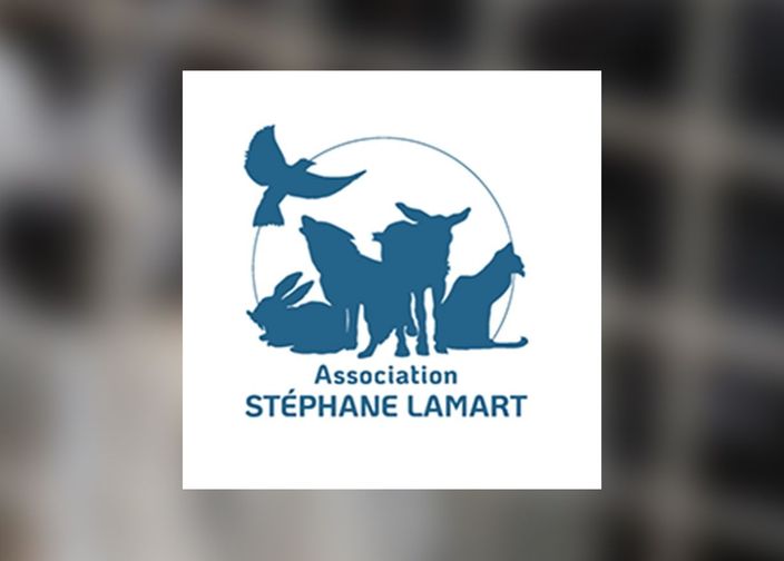 Logo Association Stéphane Lamart