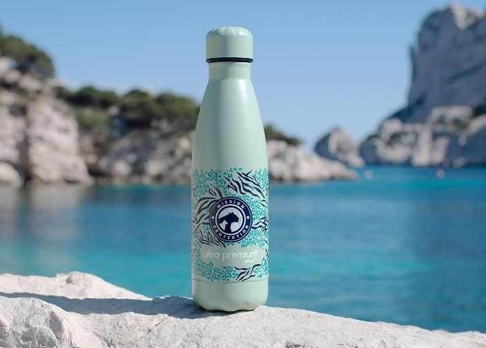 Gourde ensemble pour les félins