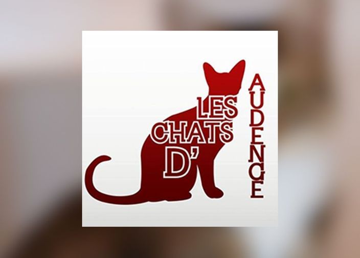 Logo Association les chats d’Audenge