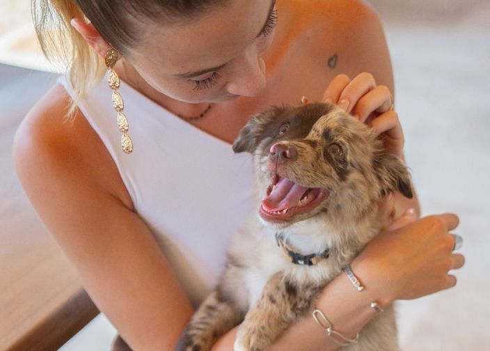 chiot berger australien dans les bras de sa maîtresse