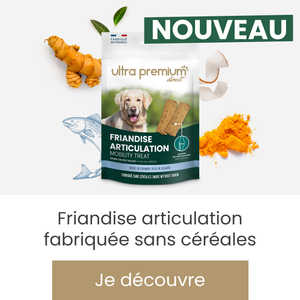 Anima Care lance un kit de réalisation d'empreintes - Le Point  Vétérinaire.fr
