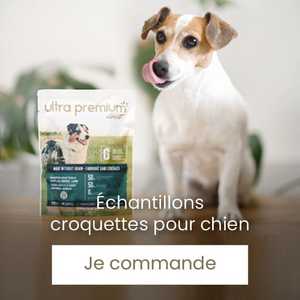 Kit d'empreinte pour chien et chat - Ultra Premium Direct
