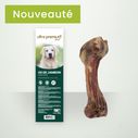 Sachet d'os de jambon pour chien sur fond vert clair 