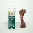 Sachet d'os de jambon pour chien sur fond vert clair