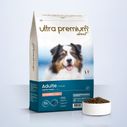 Super Premium zalm- en Brokken voor volwassen hond van alle groottes in een zak van 12 kg op een lichtblauwe achtergrond