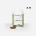 Natuurlijke ontwormer voor kat - Vermiphyto - 30 tabletten