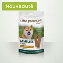 Shiba Inu qui sent la friandise lamelle riche en poulet