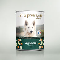 Boîte de pâtée pour chien sans céréales à l'agneau sur fond vert clair